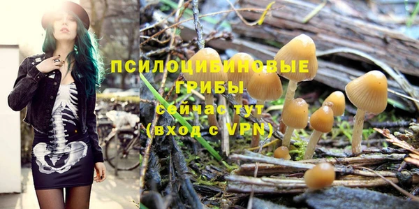 метадон Горняк