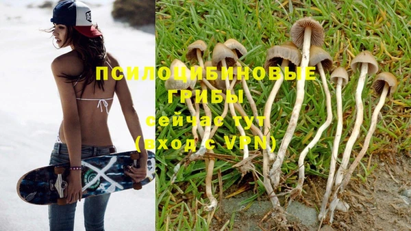 спайс Горнозаводск