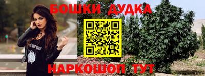 круглые Кингисепп