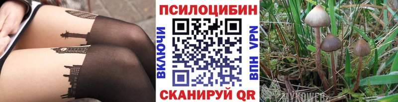 Галлюциногенные грибы мухоморы  Москва 