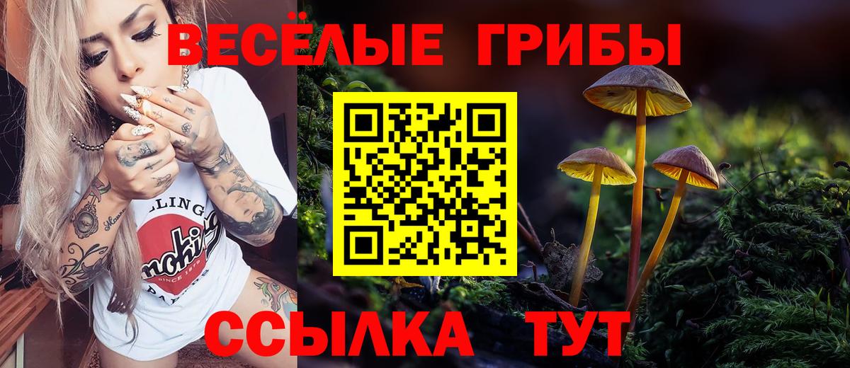 Москва  цены наркотик  Вход с VPN  Галлюциногенные грибы Psilocybine cubensis 
